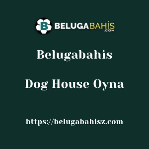 Belugabahis Dog House Oyna